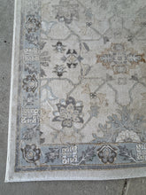 Load image into Gallery viewer, Tone on Tone Ivory Area Rug from Bazaar
