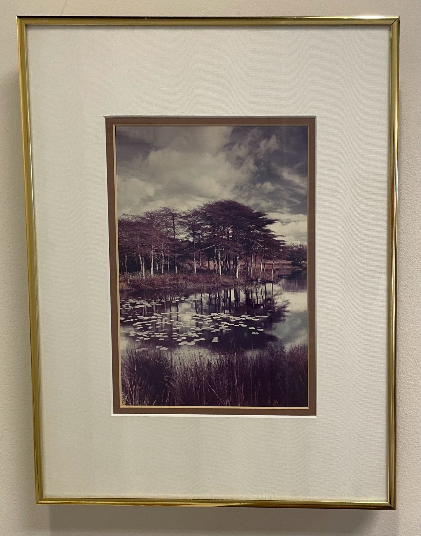 Framed Photograph of Lily Pads on Water