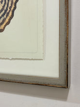 Load image into Gallery viewer, Watercolor of Butterfly #2 in Grey Distressed Frame from Nell Hill's
