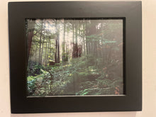 Load image into Gallery viewer, Six Framed Photos Glacier National Park
