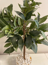 Load image into Gallery viewer, Pair of Faux Fig Trees
