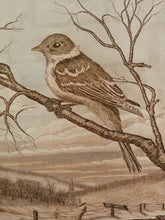 Load image into Gallery viewer, Framed &quot;Moment from Flight&quot; by J. Johnson
