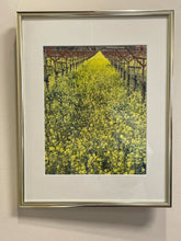 Load image into Gallery viewer, Framed Print of Yellow Flower Field
