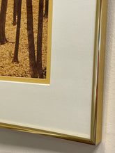 Load image into Gallery viewer, Framed Photograph of Autumn Trees
