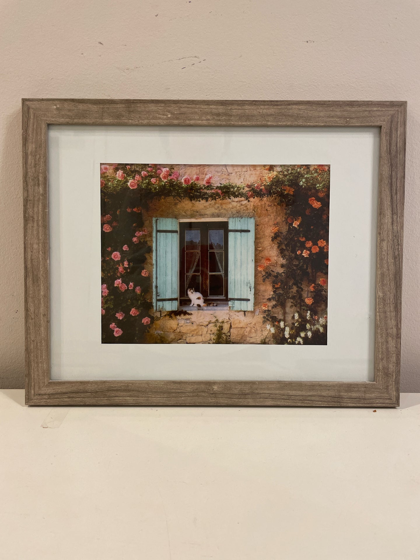 Framed Photograph of Cat on Windowsill