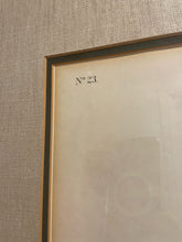 Load image into Gallery viewer, Audubon Lithograph &quot;Say&#39;s Marmot Squirrels No 23&quot;, Plate CXIV
