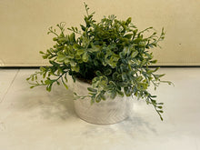 Load image into Gallery viewer, Faux Dogwood Plant in White Planter
