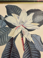 Load image into Gallery viewer, Framed Magnolia Print

