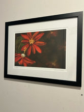Load image into Gallery viewer, Original Pastel Giclee "Scarlet Passion Flowers" by Susan Willis, signed
