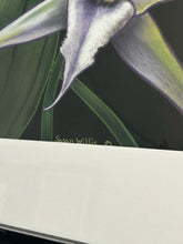 Load image into Gallery viewer, Original Giclee of Orchid by Susan Willis, signed

