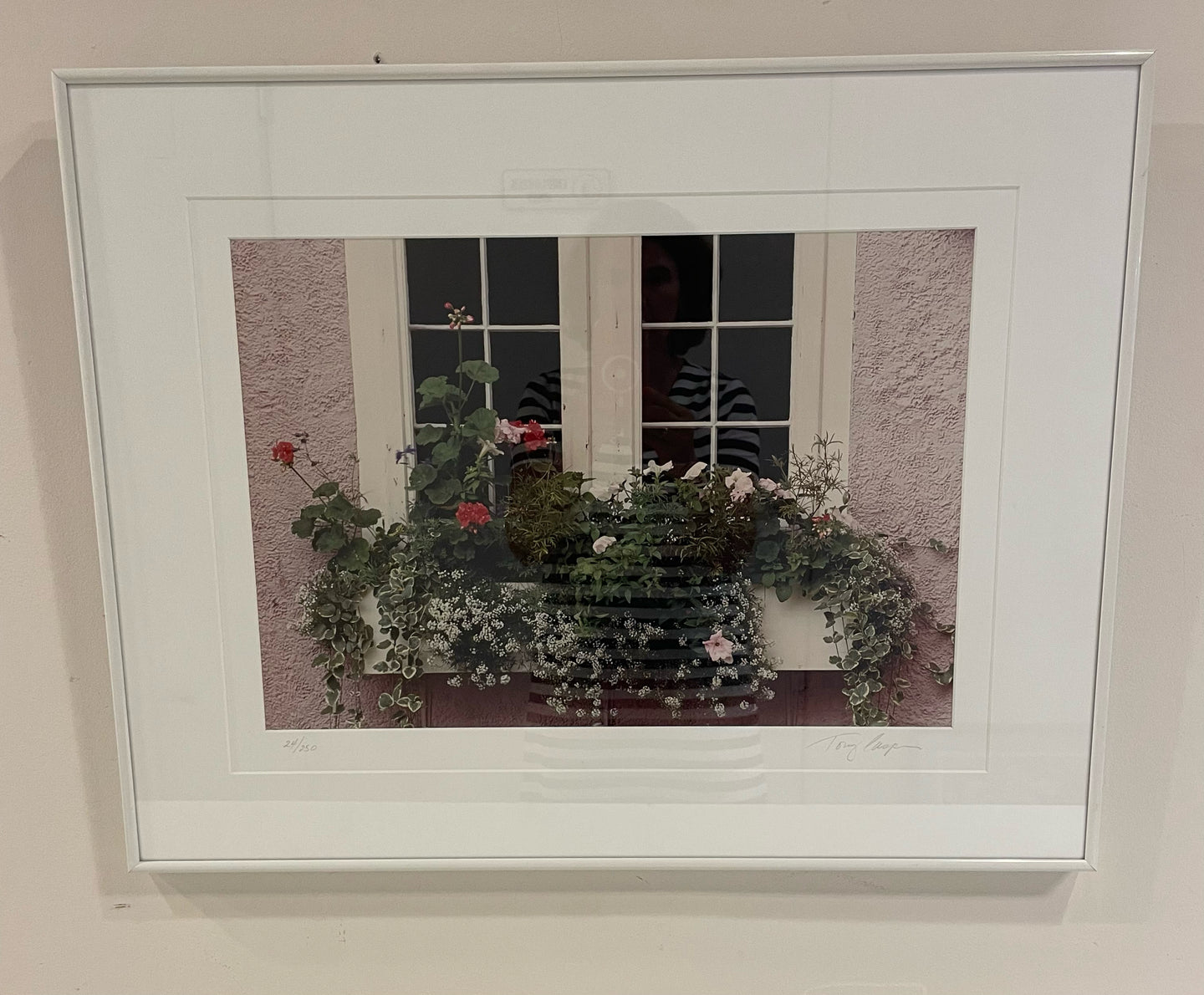 Framed Photograph of Floral Window Box by Tony Casper, signed & numbered