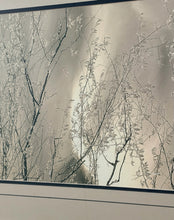Load image into Gallery viewer, Framed Art Print of Botanical Branches
