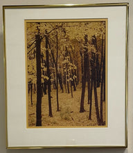 Load image into Gallery viewer, Framed Photograph of Autumn Trees
