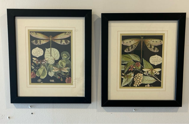 Pair of Botanical Prints with  Dragonflies