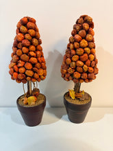 Load image into Gallery viewer, Pair of Roasted Tomato Topiaries
