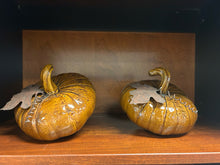 Load image into Gallery viewer, Pair of Brown Pumpkin/Gourds
