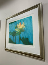 Load image into Gallery viewer, Framed Print "Lotus II," signed
