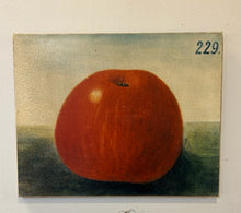 Load image into Gallery viewer, Vintage Stretched Canvas Print of Upside Down Apple 229
