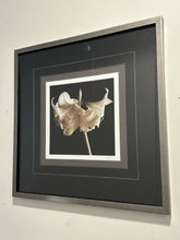 Load image into Gallery viewer, Framed Photograph of Lilies, signed
