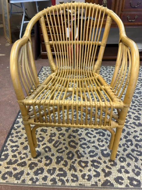 Rattan Arm Chair