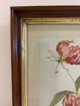 Load image into Gallery viewer, Vintage Framed Print of Gloriosa Lily
