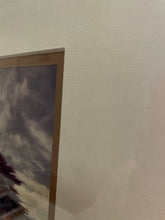 Load image into Gallery viewer, Framed Photograph of Lily Pads on Water

