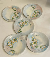 Load image into Gallery viewer, Five Daisy Plates from Peerless Bavaria
