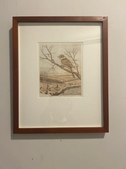 Framed 