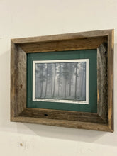Load image into Gallery viewer, Rustic Framed Photograph &quot;Fog-Lodgepole Pines Genesee, Colorado&quot; by Steve Tohari
