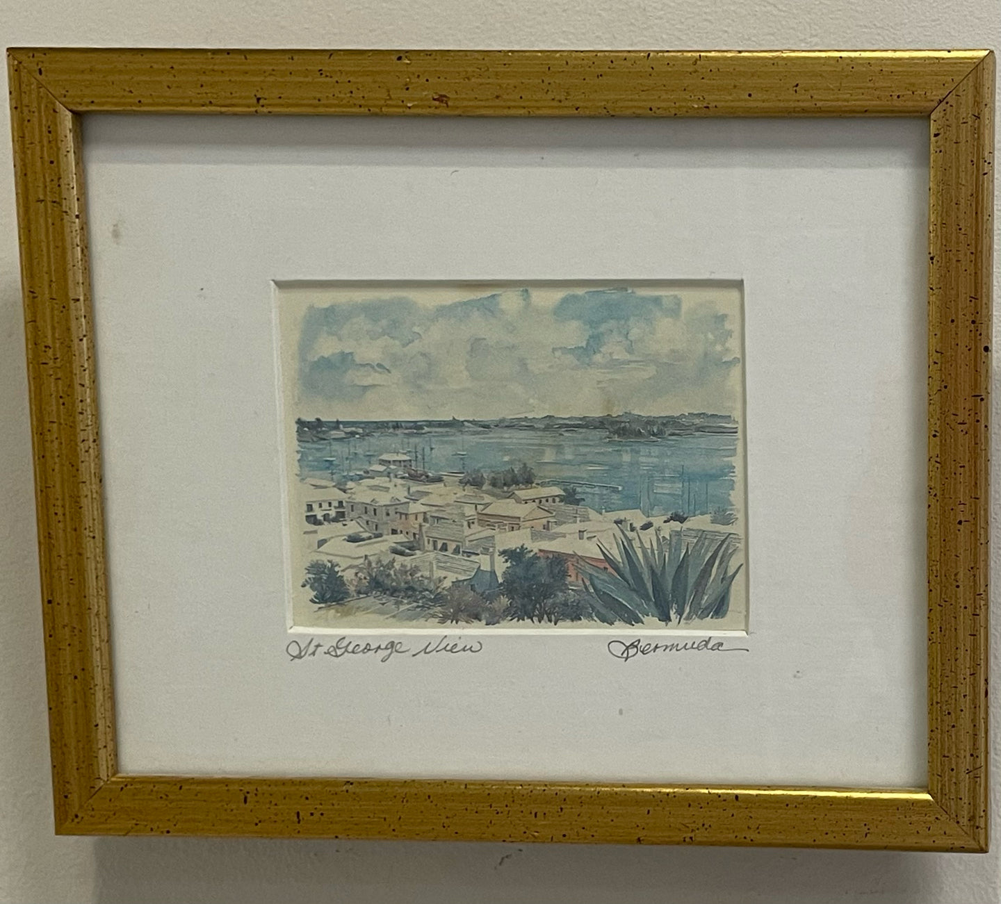 Watercolor 