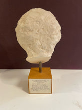 Load image into Gallery viewer, Clay Sculpture of Dimosthenes Head
