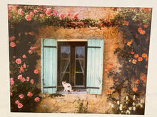 Load image into Gallery viewer, Framed Photograph of Cat on Windowsill
