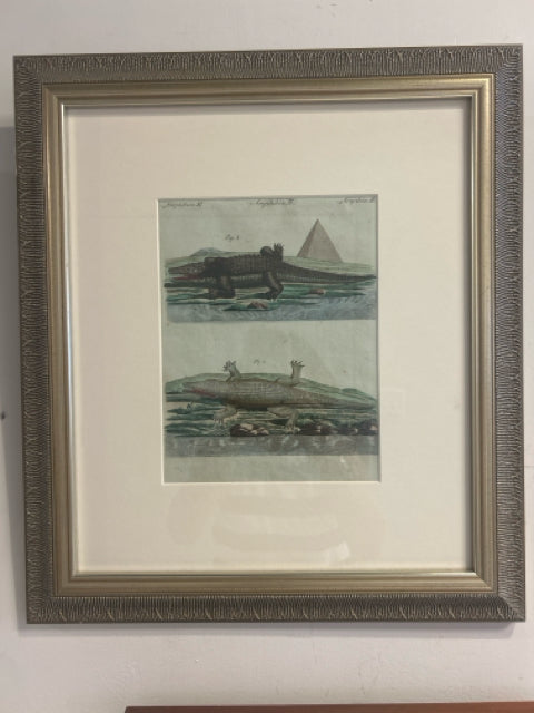 Framed 18th Century Illustration of Crocodiles