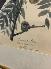 Load image into Gallery viewer, Vintage Print American Crow

