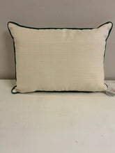 Load image into Gallery viewer, NORTHBROOK, IL Pillow
