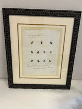 Load image into Gallery viewer, Custom Framed Print Insects Tab XXXI
