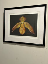 Load image into Gallery viewer, Original Giclee "Danny Rodriguez" by Susan Willis, signed &amp; numbered
