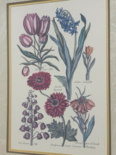 Load image into Gallery viewer, Framed Botanical in Painted Floral Frame
