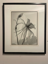 Load image into Gallery viewer, X-Ray Photograph of Flowers by Steven N. Meyers
