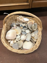 Load image into Gallery viewer, Basket of Sea Shells
