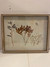 Load image into Gallery viewer, Framed Leaf Print  (Red)
