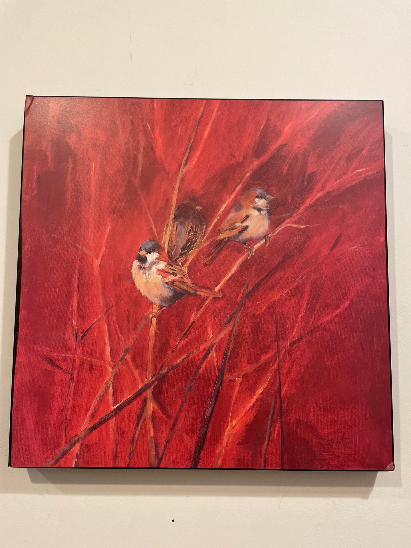 Art Print of Sparrow on Board